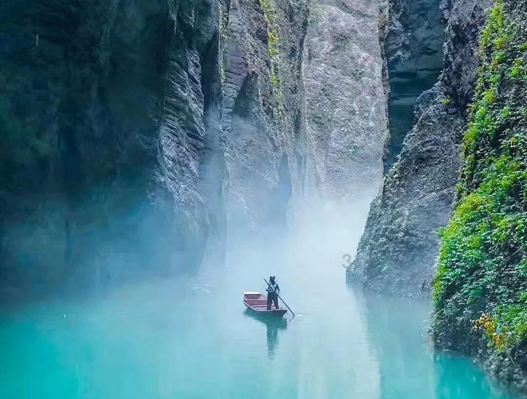 救援受困的鹭